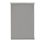 Gardinia Easyfix - Estor de poliéster, 100 x 210 cm, Color Gris