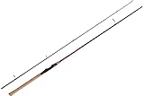 Rod Catana EX Spinning