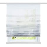 ESLIR Estor para salón, con cinta de velcro, para cocina, transparente, gasa degradada,...