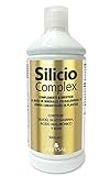 SILICIO COMPLEX 1.000 ml | Silicio orgánico con Glucosamina, Ácido Hialurónico, MSM |...