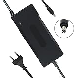 YZPOWER 42V 2A Cargador de batería para Patinete electrico, Cargador para Bicicleta...