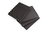 B&W International SI/500 - Espuma precortada para Outdoor Case Typ 5
