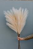 3 Piezas de 120 cm de Altura Artificial Faux Pampas Grass Plantas Artificiales, Plantas...