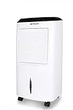 Orbegozo Air 52 - Climatizador Evaporativo 3 En 1, 3 Velocidades, Temporizador, Mando A...