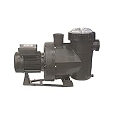 Bomba Piscina Victoria Plus, Bomba de Agua para Filtrado Piscina, Depuradora Piscina...