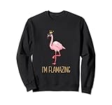 I'm Flamazing Flamingo Party Crew Feier Malle JGA Outfit Fun Sudadera