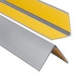 ProfiPVC Perfil angular de PVC 50x50mm, 150cm - ángulo pvc, autoadhesivo listón de...