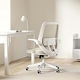 Hbada Silla de Oficina ergonómica, Silla de Trabajo con reposabrazos Plegables, Soporte...