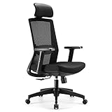 SIHOO Silla de Oficina en Casa, Silla de Escritorio con Soporte Lumbar Ajustable y...