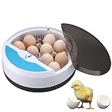 Tackly Incubadora automática de huevos gallina aves pollos – incubadora digital 9/12...