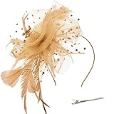 DRESHOW Fascinators Sombrero Tocados De Pinza Para El Pelo Cabeza De Mujer Novia Para...