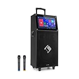auna KTV - Altavoz Grande, Altavoz con micrófono, Altavoz Bluetooth con micrófono, USB,...