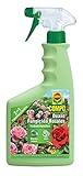 Compo Duaxo Fungicida Rosales, Spray 2 en 1 preventivo y curativo, Apto para jardinerÃ­a...