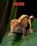 Gecko: Libro para niños con imágenes asombrosas y datos curiosos sobre los Gecko