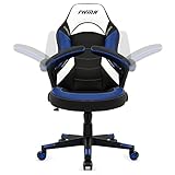Intimate WM Heart Silla Gaming, Racing Silla Gamer Ergonómica, Silla de Giratoria en...