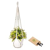 Seed Macetero Colgante + Semillas de Regalo - Maceteros Colgantes - Soporte para Plantas -...