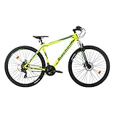 Bachini Legend 29 Pulgadas Bicicleta de montaña Hombre Frenos de Disco, Shimano 21...