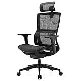 SIHOO Silla de Oficina, Silla ergonómica, Silla de Escritorio con Respaldo Alto, Silla...