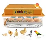 Hethya Incubadora automática de huevo, incubadora de pollos para el hogar, controlador de...