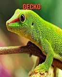 Gecko: Libro para niños con imágenes hermosas y datos interesantes sobre los Gecko