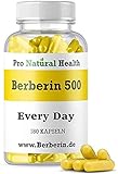Berberina 500 mg I 180 cápsulas altamente dosificadas I Suplemento para un cambio de...