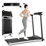 CAROMA Cinta de Correr y Andar Plegable Eléctrica, Cinta de Andar para Casa con Pantalla...