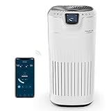 Rowenta Pure Home PU8080 - Purificador de aire portátil con 4 niveles de filtrado,...