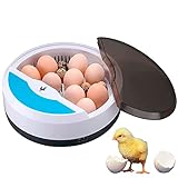 CHIKERS Incubadora automÃ¡tica de huevos gallina aves pollos â€“ incubadora digital 9/12...