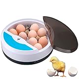 CHIKERS Incubadora automática de huevos gallina aves pollos – incubadora digital 9/12...