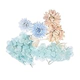 Flores Secas para Resina, Herbario de plantas para hacer joyas artesanales, Perfecto para...