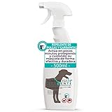 Hundepflege24 Repelente Anti pulgas y garrapatas en Spray para Perro y Gato 500ml -...