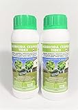 Herbicida selectivo césped 1 LITRO. Fluroxipir 20%. Control y la eliminación de malas...