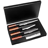 Profesional japonés cocinero cocina cuchillo salmón sushi sashimi salmón pescado...