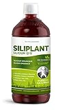 G7 Siliplant. Fórmula Mejorada. Suplemento De Silicio Líquido De Plantas Que Favorece La...