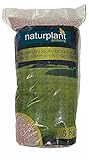NATURPLANT Abono Especial Césped, Rojo, 5 Kg