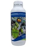 CULTIVERS Gluconato de Cobre. Abono Fertilizante con efecto Fungicida de Cobre Ecológico...