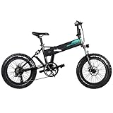 FIIDO M1 Bicicleta eléctrica Recargable para Adultos, vehículo Plegable al Aire Libre de...