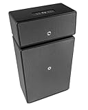 Audio Pro Altavoz Bluetooth y WiFi Inalámbrico Multiroom Muy Potente - Speaker Grande...