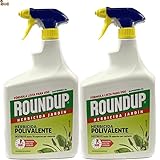 BricoLoco.com Herbicida malas hierbas foliar no selectivo. 2x1 LTS. Potente y polivalente,...