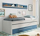 Cama Nido con Estante Pared y 2 Somieres de 90x190 y 90x180 en Color Azul y Blanco Alpes...