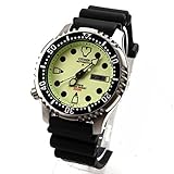 Citizen Reloj de Pulsera NY0040-09W