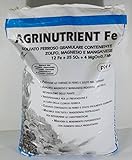 Agrinutrient sulfato ferroso granulado, 25 kg.