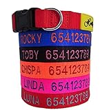 Holly Mascotas Collar de Perro Personalizado Envío 24 a 72h, Bordado con Nombre y Número...