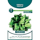 SEMILLAS ESPINACA VIROFLAY VERDECORA