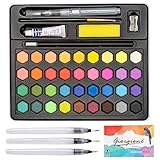 Acuarelas Profesionales Caja de Acuarelas 36 Colores, Set de Pintura de Acuarelas con 5...