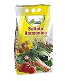 Sulfato de amonio, fertilizante nitrogenado, en bolsa de 5 kg