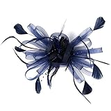 HIDOLL Tocado Sombrero de Malla de Plumas Velo de Malla Sombrero de Fiesta Sombrero de...