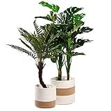 Sablank - Pack cestas para Plantas 25 + 20 cm - Cubremacetas Interior - Maceteros...