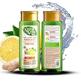 NaturVital Champú Eco Purificante | con Jengibre y Cítricos de cultivo Bio certificado|...