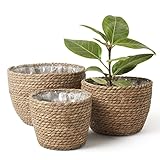 La Jolíe Muse Cesta de Plantas de Hierba Marina en el Interior y en el Exterior, Cubierta...